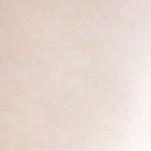 Meet your Posher, Lila